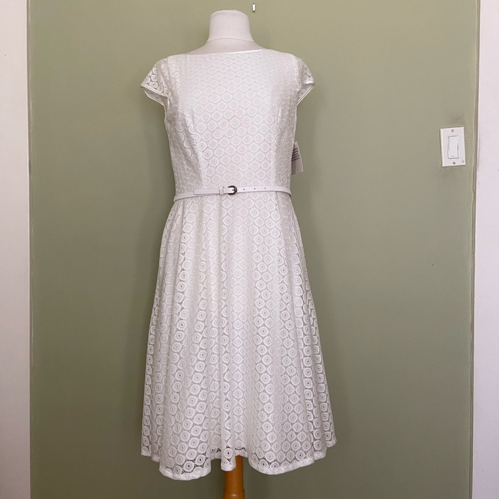 NWT, Jones Studio Dress, Fit and Flare, Size 8